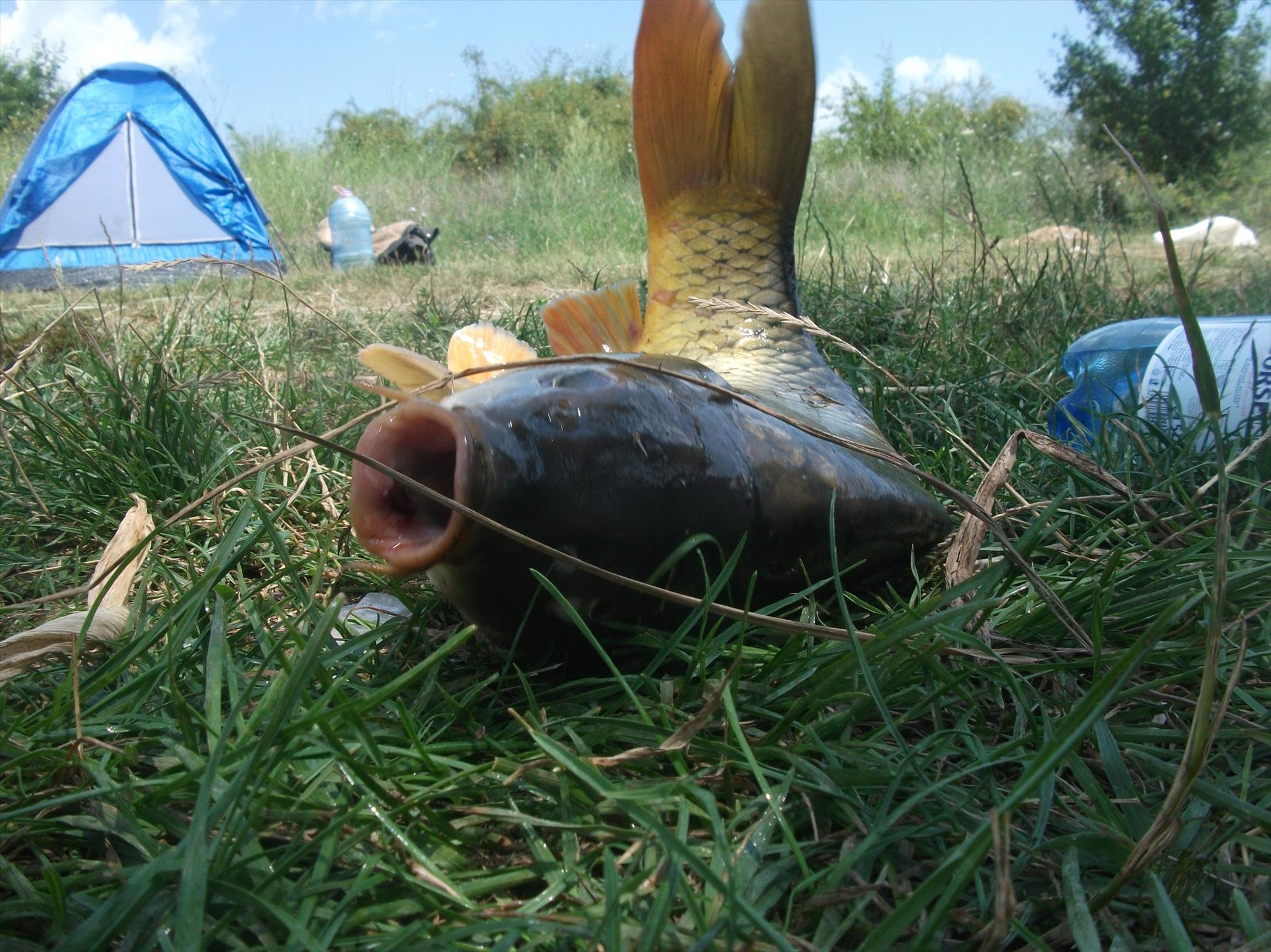 Walter 25-26.07.2013 - dscf0763.jpg